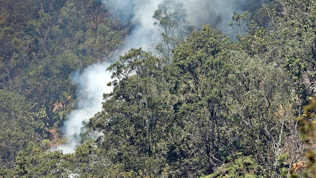 Cundinamarca declaró Calamidad Pública por incendios en el departamento