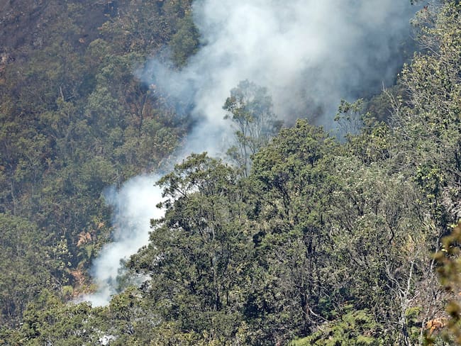 AME1624. BOGOTÁ (COLOMBIA), 23/01/2024.- Bomberos y otras autoridades participan hoy en labores de extinción de los incendios en los cerros orientales de Bogotá (Colombia). El incendio que comenzó ayer en los cerros orientales de Bogotá sigue activo y se ha extendido afectando a aproximadamente cuatro hectáreas de bosques en las últimas horas, aunque los bomberos aseguran que ya está &quot;en control&quot;. EFE/ Mauricio Dueñas Castañeda