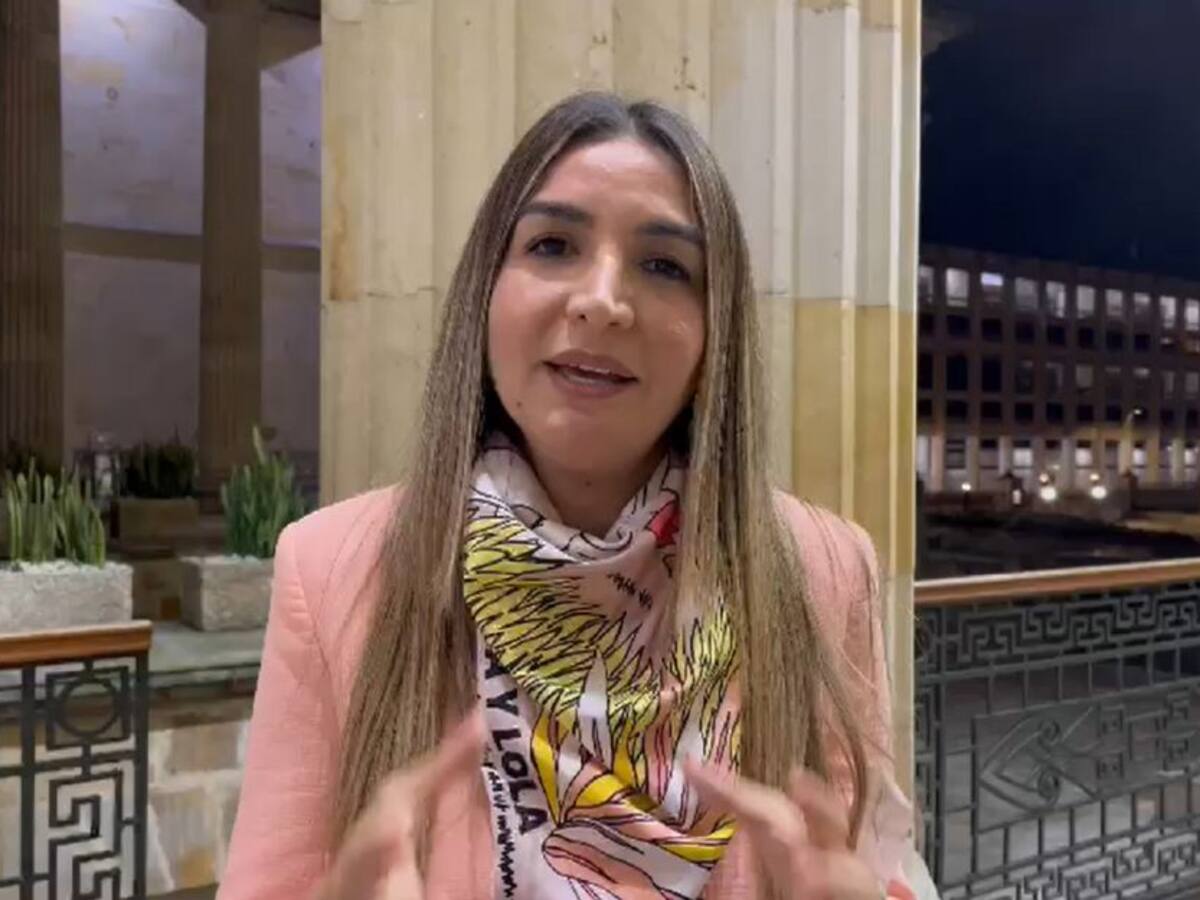 A tercer debate #AlertaRosa, proyecto de sistema para hallar desaparecidos