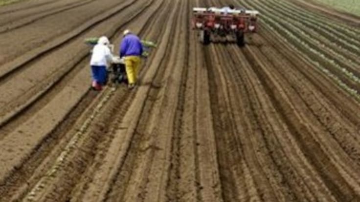 Organizaciones agropecuarias y populares confirman que irán a paro el 19 de agosto