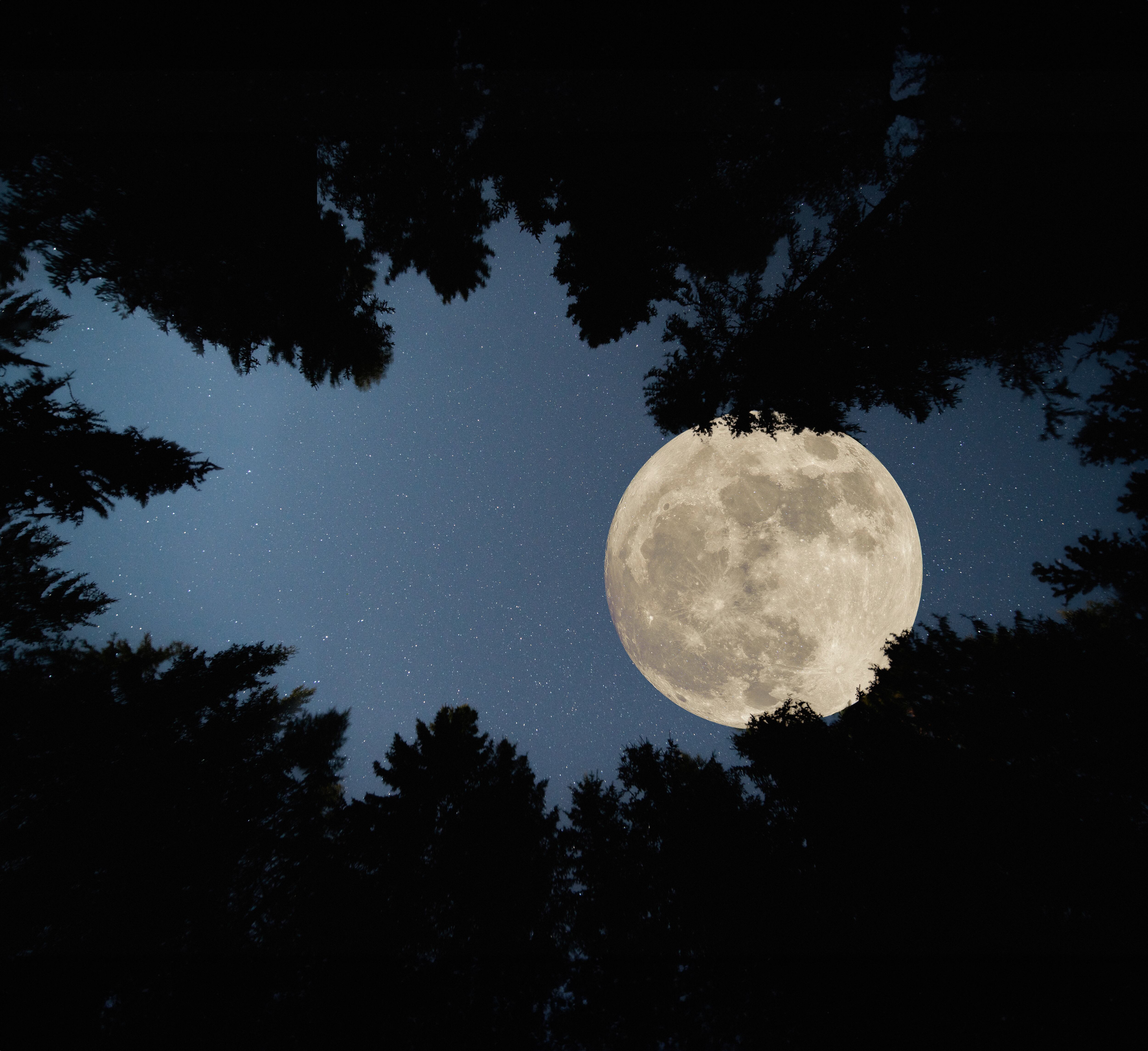Superluna Azul 19 de agosto 2024. Imagen de referencia vía Getty Images.
