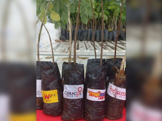 Caracol Radio dona árboles en el día de Mundial de la Tierra.