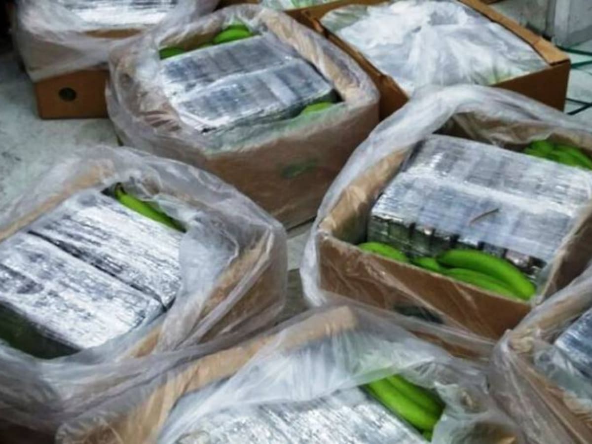 Carga de banano en Cartagena ocultaba más de una tonelada de droga