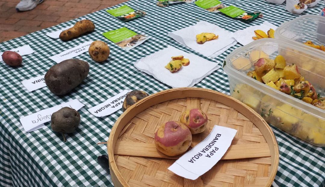 Variedad de papas nativas cultivadas en la localidad de Sumapaz