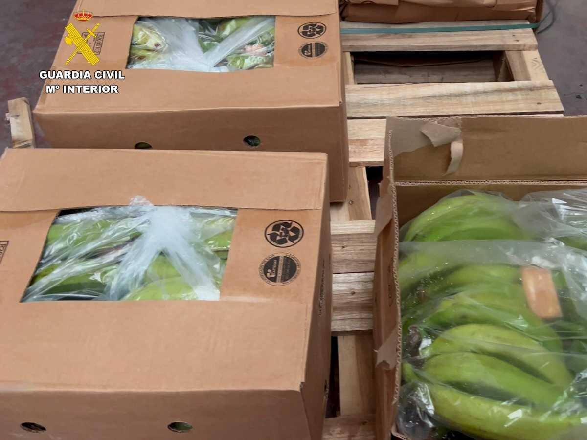 España incauta 6,5 toneladas de cocaína procedente de puertos de Colombia y Ecuador