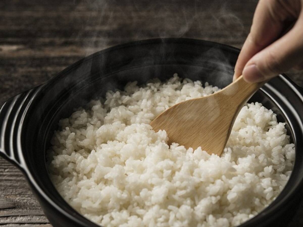 Incentivo al almacenamiento del arroz para 2021 será de $50.000 millones