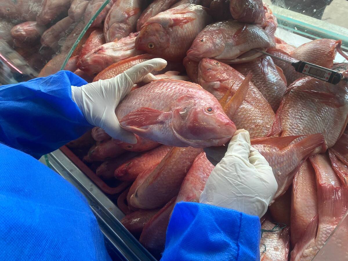 Más de 140 kg de pescado y 170 litros de alcohol han sido destruidos por estar alterados