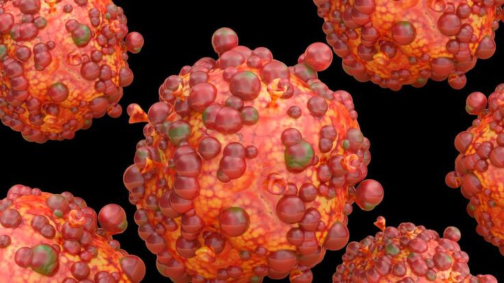 Viruela del mono: Riesgo en Colombia sigue siendo moderado