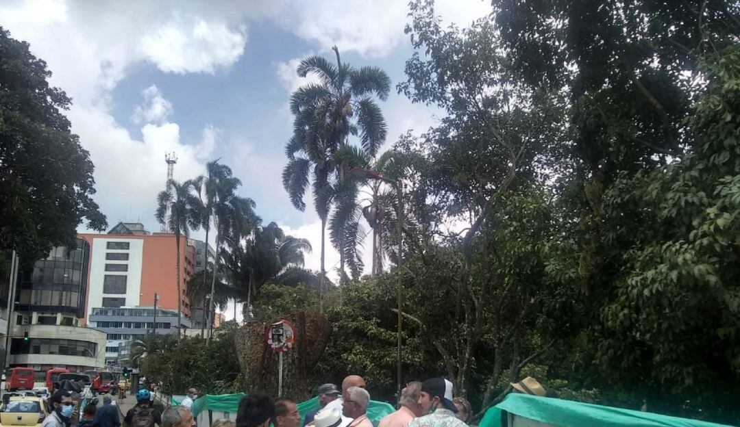 Plantón por tala de árboles en el Parque Centenario de Ibagué