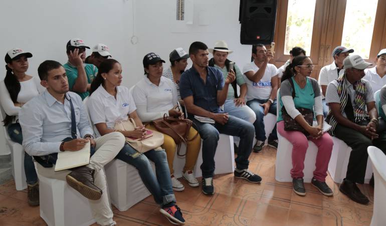 Docentes del Catatumbo