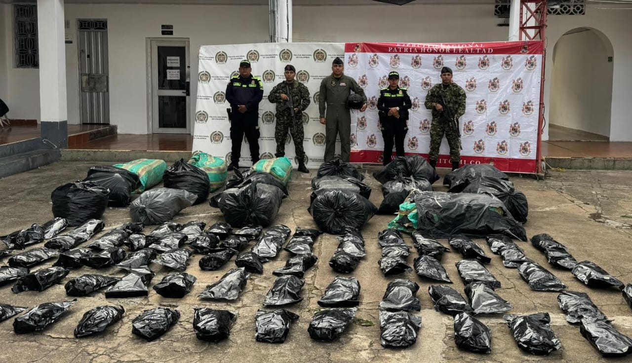 Más de 300 kilogramos de marihuana fueron incautados en este operativo del Ejército en el sur del Tolima