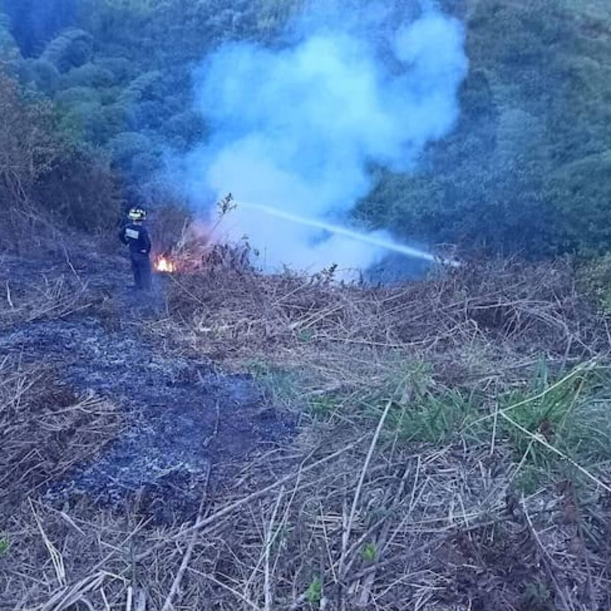 Presidente solicita refuerzo de fuerza pública tras insistir que incendios del Tolima son provocados