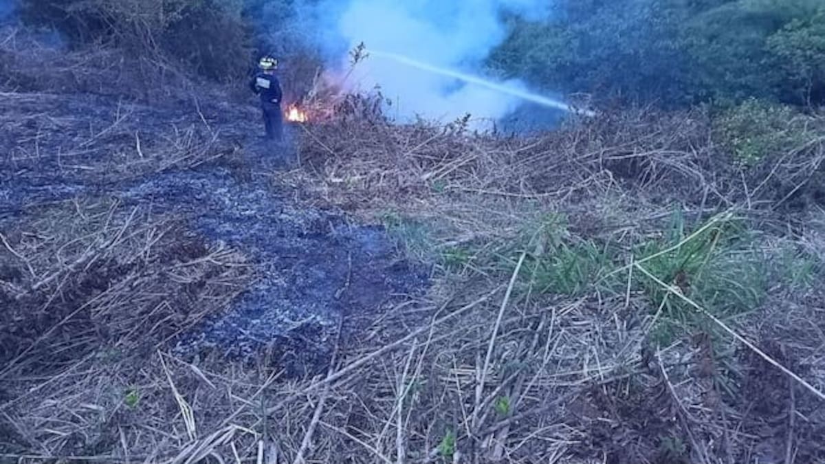 Zonas de incendios en Tolima serán militarizadas: conflagraciones son provocadas, según autoridades