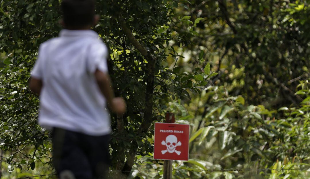 Imagen de referencia.