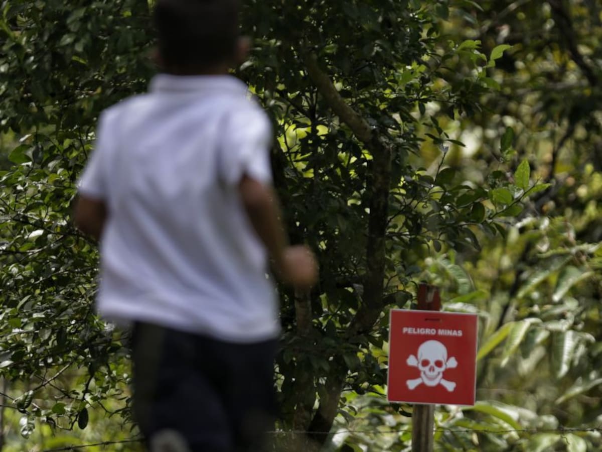 Alerta de la Cruz Roja: en 2021 van 378 víctimas de artefactos explosivos