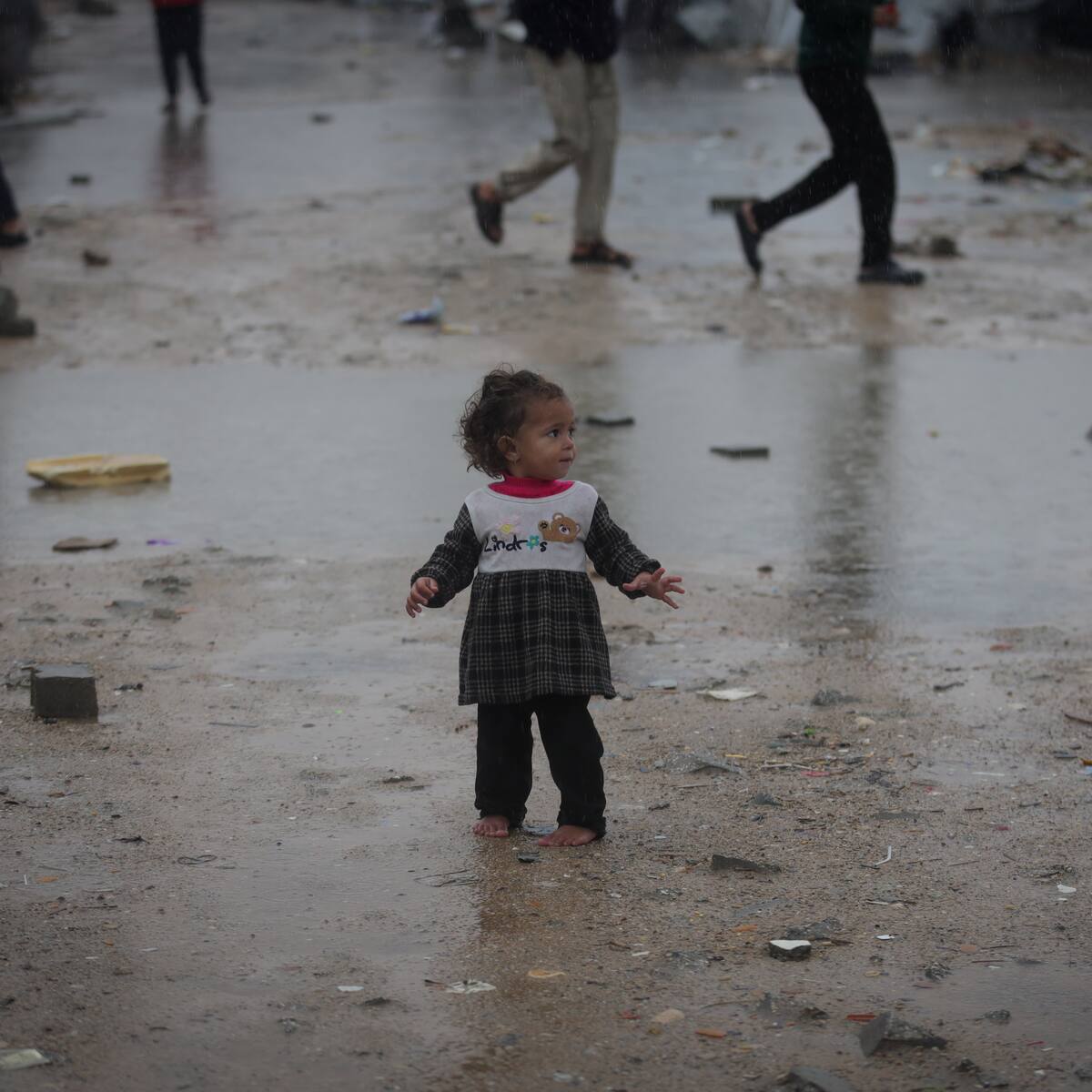 Franja de Gaza: lluvias torrenciales causan desplazamiento de más de 1.500 palestinos