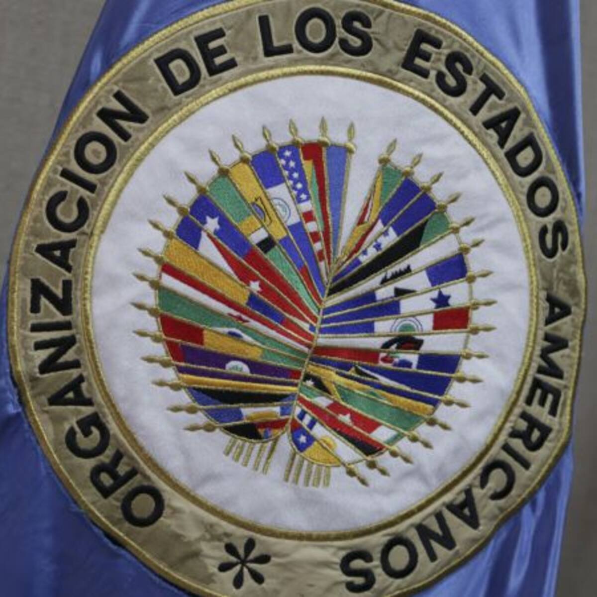 Colombia, Brasil, Bolivia, Chile y Uruguay respaldaron a Albert Ramdin para secretario de la OEA