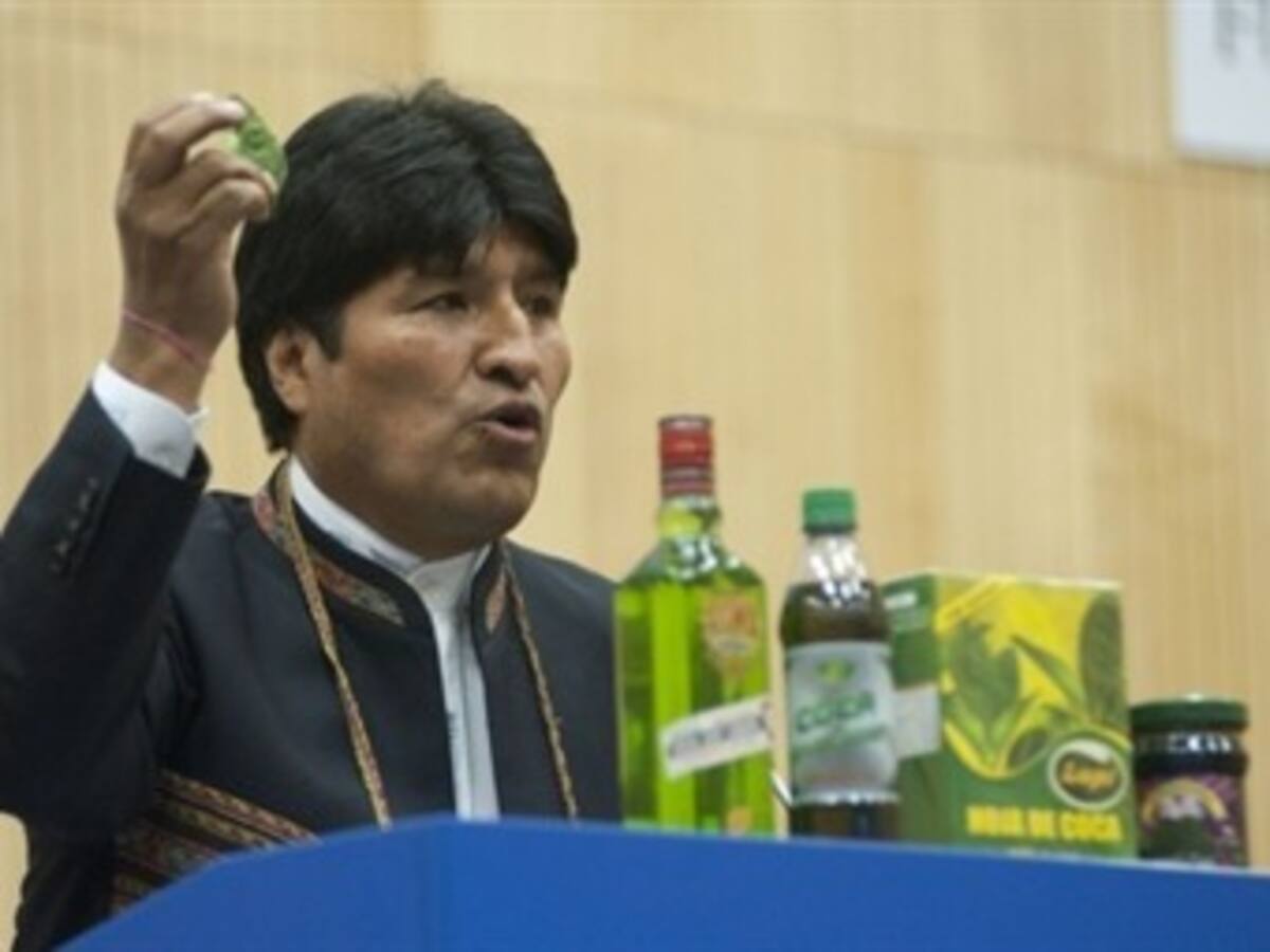 Evo Morales defiende las bondades de la hoja de coca y su industrialización