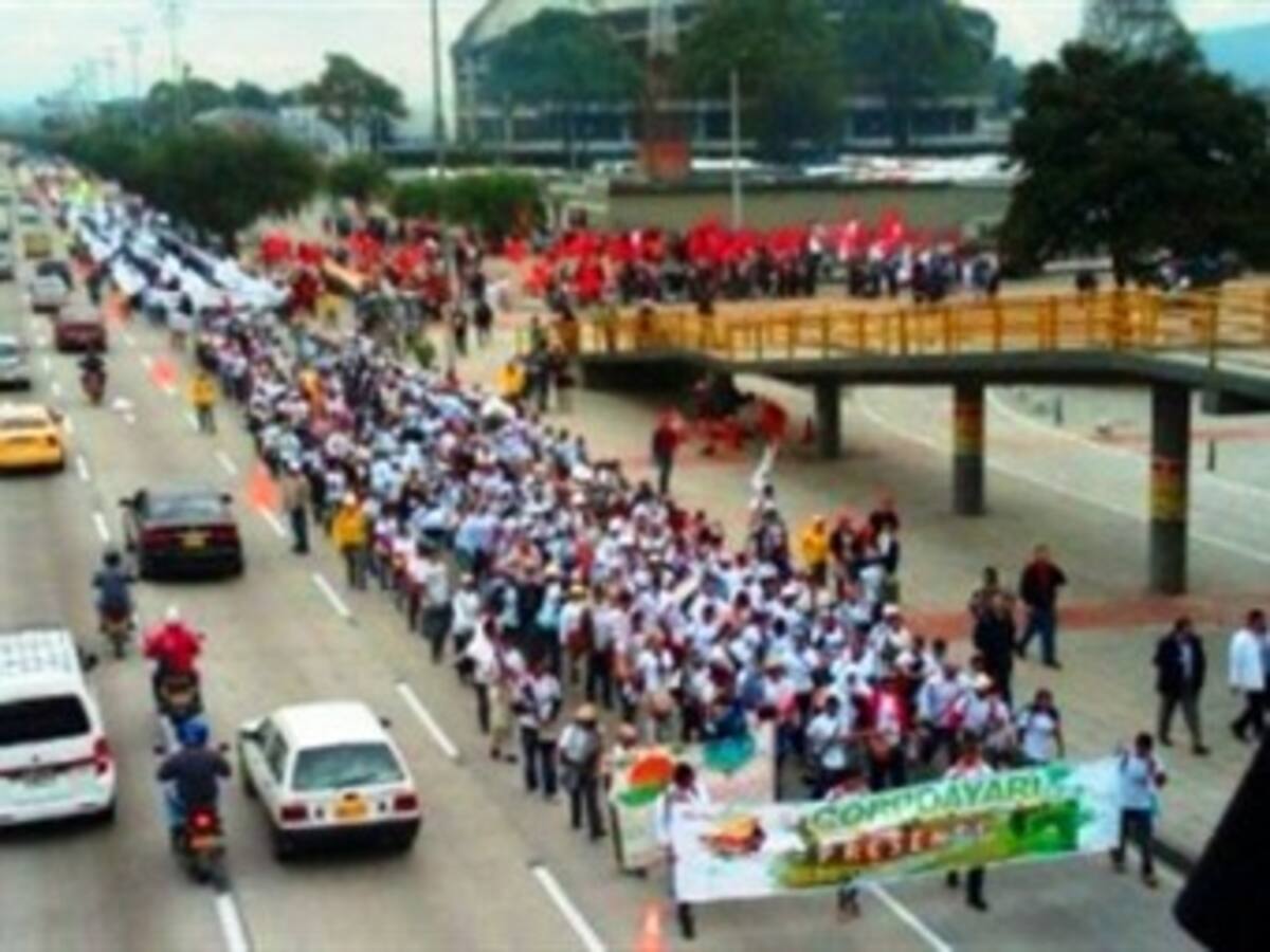 Sin alteración al orden público y con un solo capturado transcurrió “Marcha Patriótica”