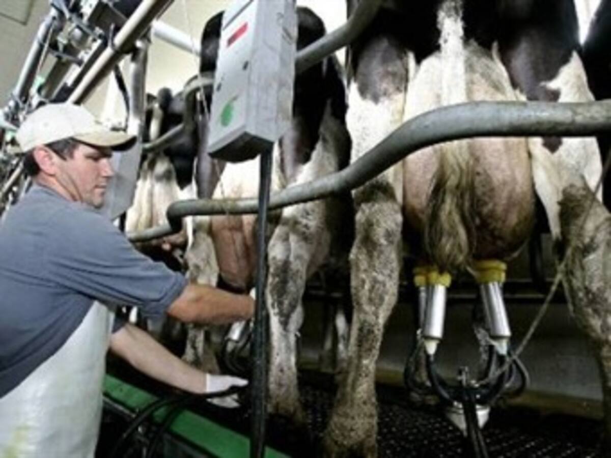 Gobierno dice que lecheros tendrán 20 años para prepararse y afrontar competencia con la UE