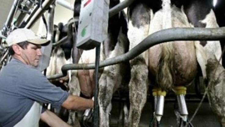 Gobierno dice que lecheros tendrán 20 años para prepararse y afrontar competencia con la UE