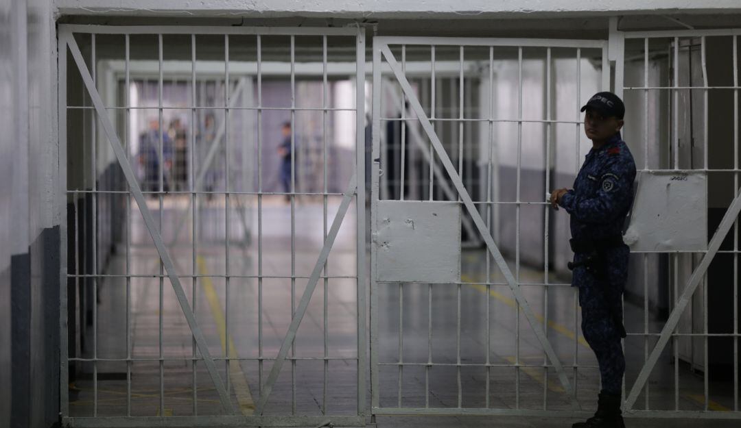 Imagen de referencia