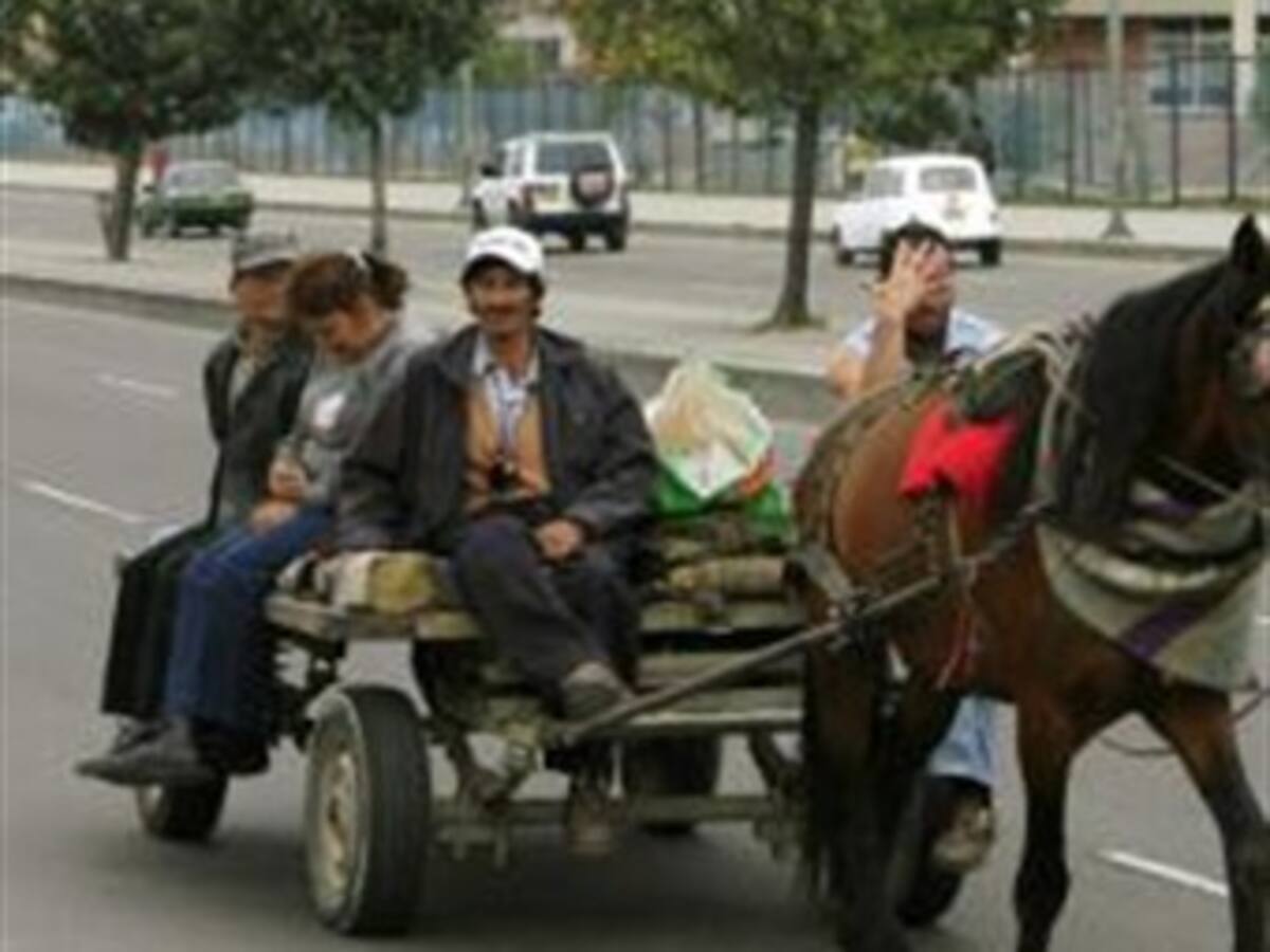 Brigitte Bardot pide al presidente Santos que impida sufrir a caballos de tiro y carga