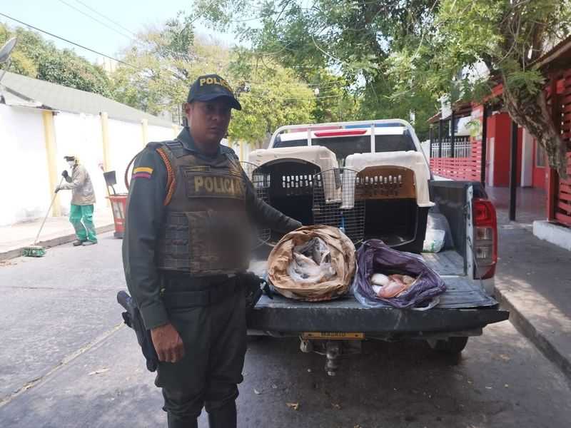 Incautación de pescados en mal estado // imagen de cortesía