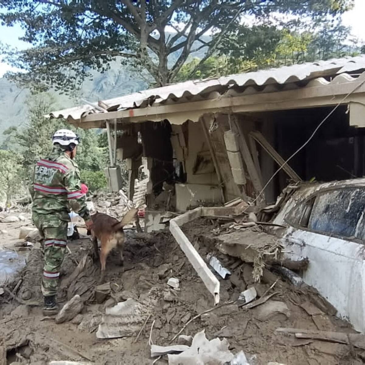 Avalancha en Quetame: Ministerio de Transporte adopta medidas para mitigar la emergencia