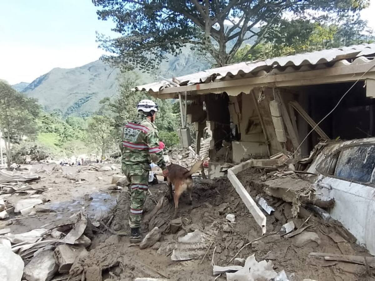 Avalancha en Quetame: Ministerio de Transporte adopta medidas para mitigar la emergencia