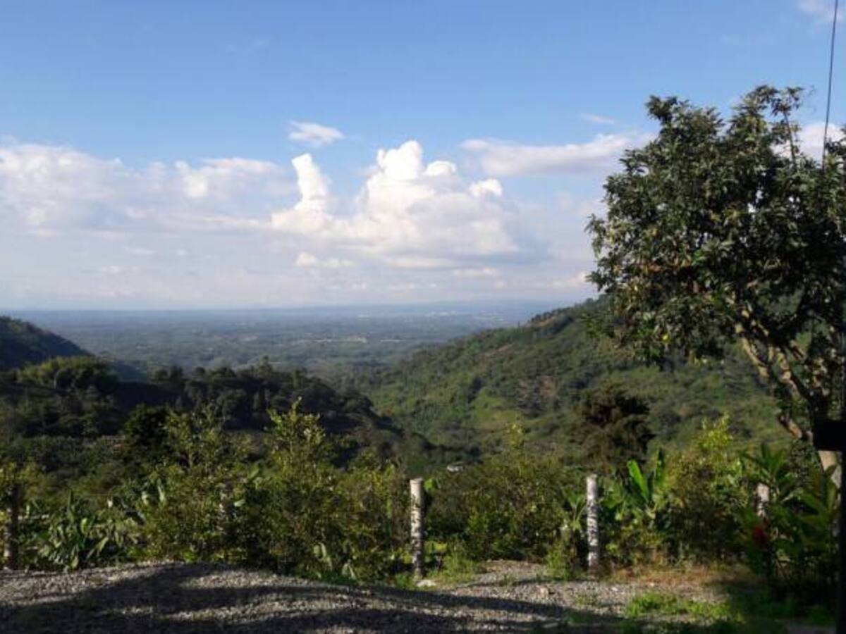 Lunes 19 de diciembre, noticias más importantes de Armenia y Quindío