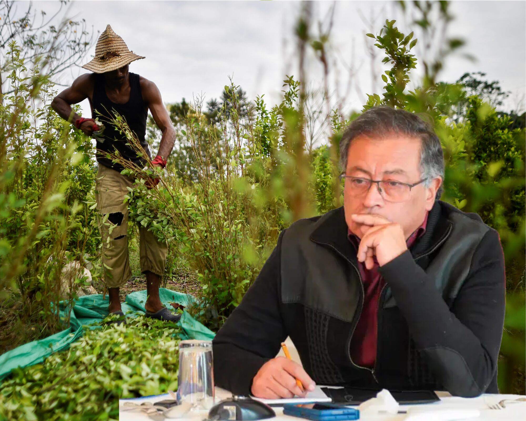En su Informe anual sobre la Estrategia Internacional para el Control de Estupefacientes, el Departamento de Estado resalta que Colombia logró cifras récord de interdicción de cocaína en 2024., pero advierte que falta "hacer más" para controlar el flujo y producción de drogas.
(Foto: Caracol Radio / Getty)