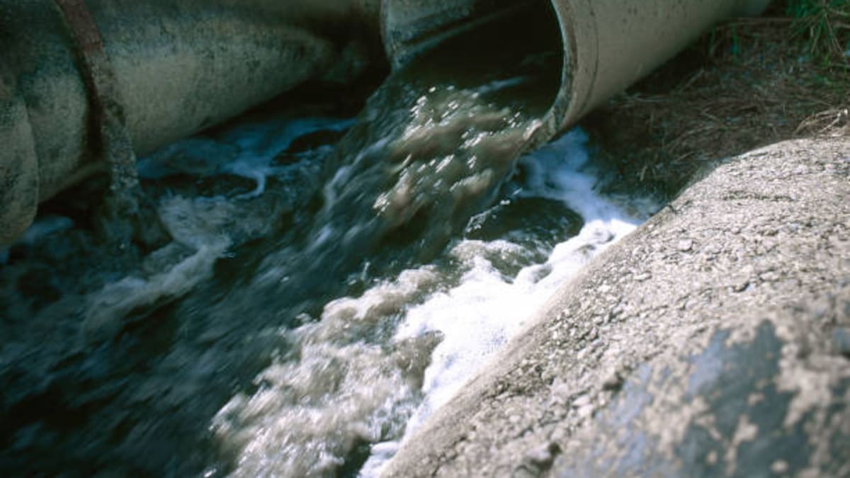 Autoridades anuncian tasa por vertimientos en Magdalena para controlar el daño ambiental