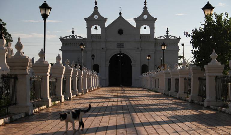 Imagen de referencia 