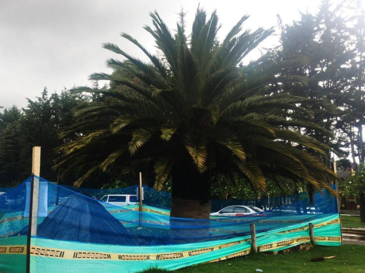 Talarán 28 árboles para ampliar una estación de Transmilenio