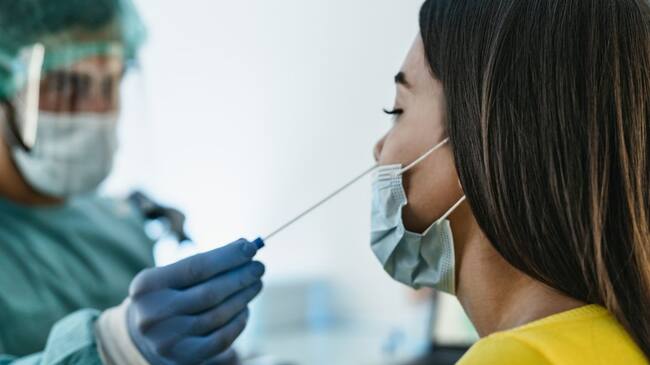 Imagen de referencia