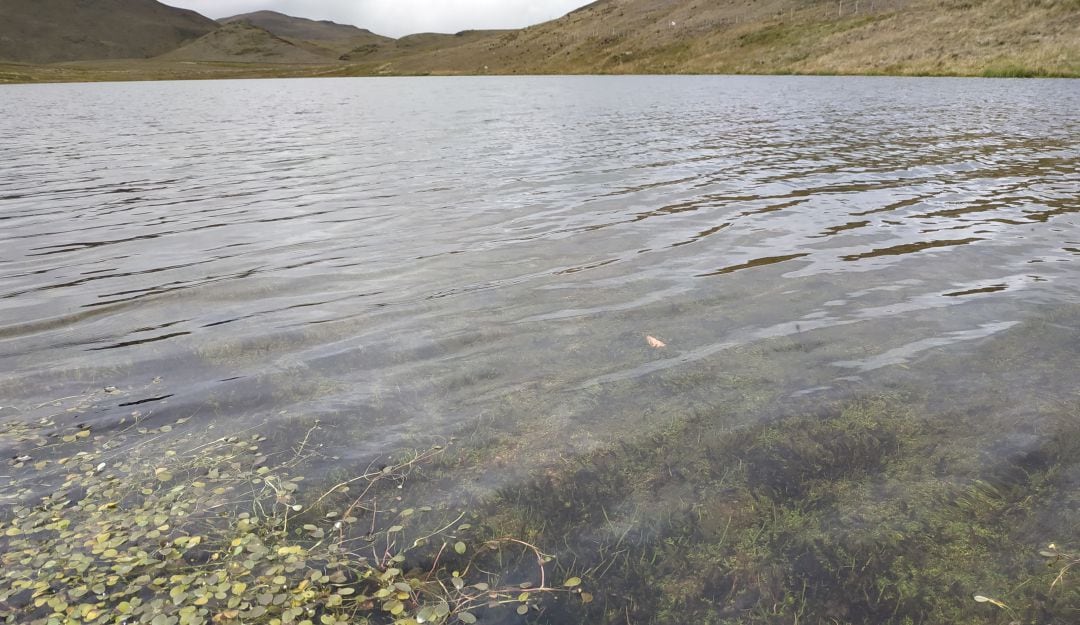 El agua de Santurbán llega a más de 1,5 millones de habitantes de los santanderes