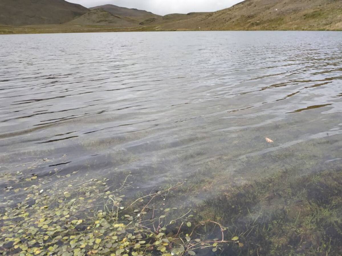 Naturaleza al límite: la verdadera cara del páramo de Santurbán