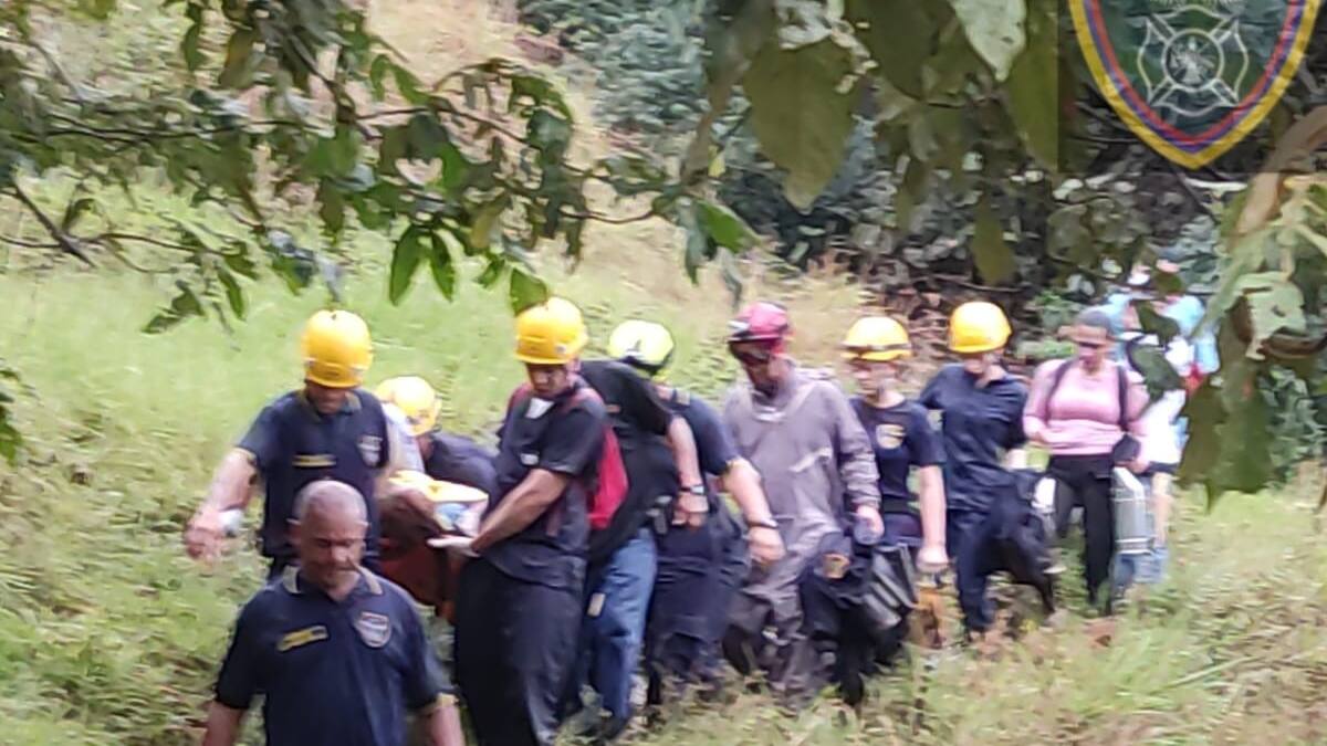 En Titiribí y El Carmen de Viboral enjambres de abejas atacaron a dos personas