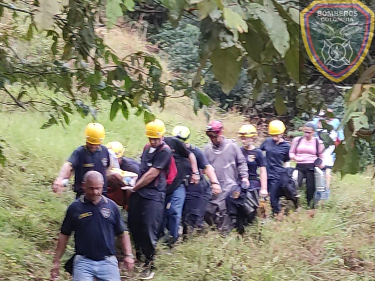 En Titiribí y El Carmen de Viboral enjambres de abejas atacaron a dos personas