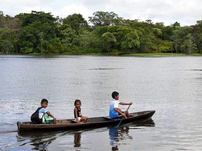 Entienda en 5 datos la importancia de la Amazonia