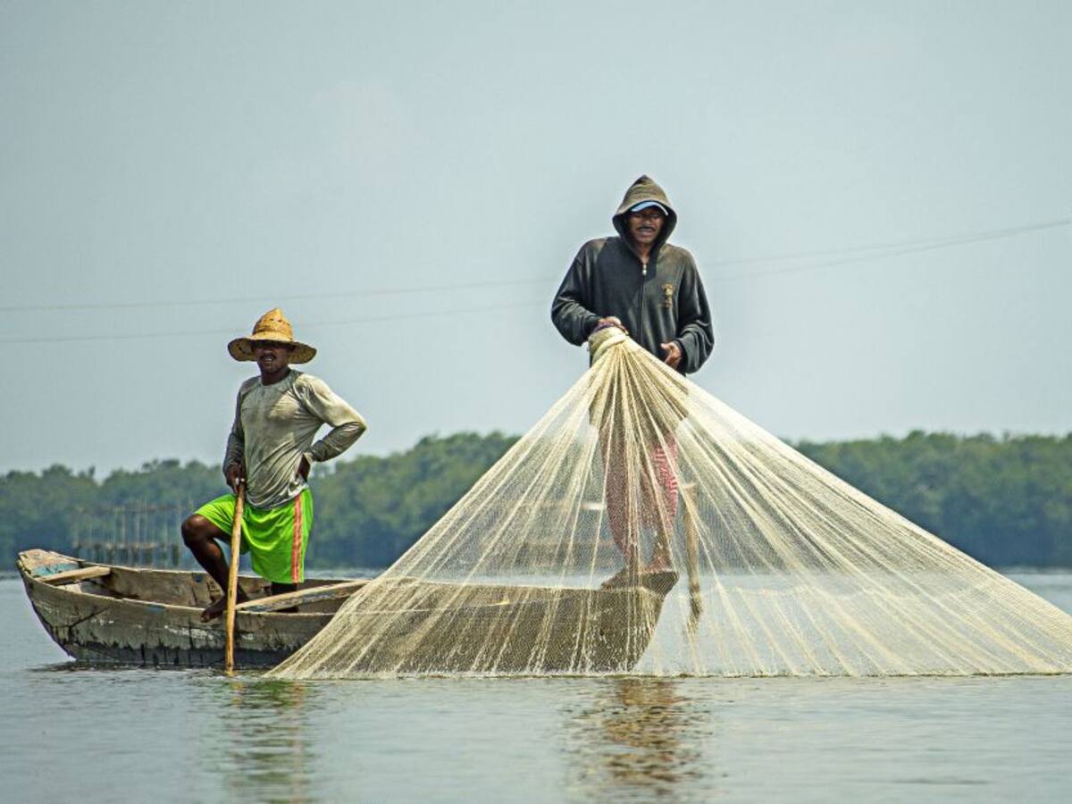 Llegó la subienda a Puerto Boyacá y alivia el bolsillo de los consumidores