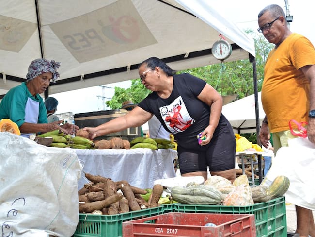 Este sábado, prográmese y acceda a productos frescos en el mercado campesino