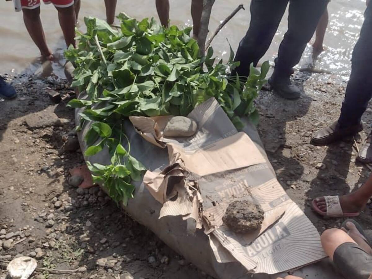 Investigan muerte de manatí que fue hallado cerca del puerto de San Cristóbal, Bolívar