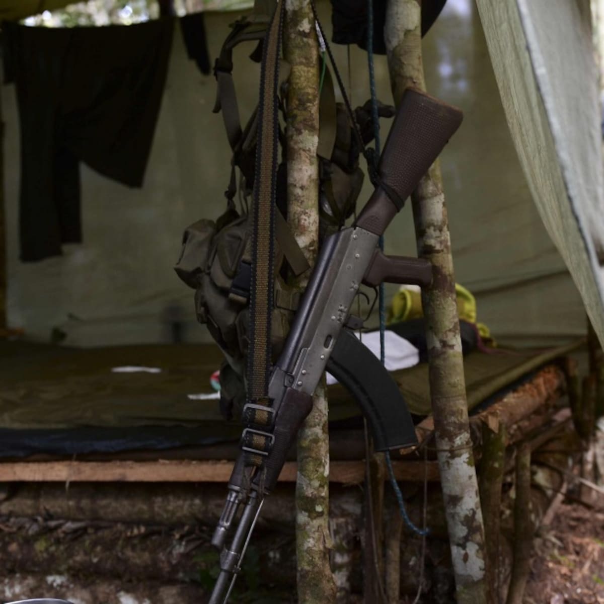 Violencia en Argelia genera desplazamiento de más de 600 personas