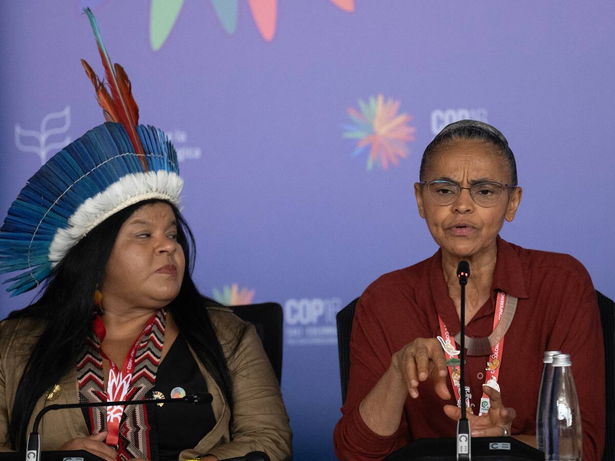 Balance COP16: los logros y lo que queda para Colombia