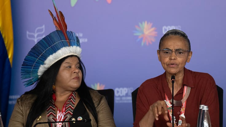 Balance COP16: los logros y lo que queda para Colombia