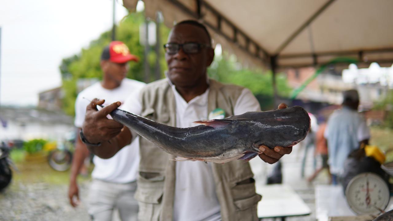 Reapertura de mercado campesino Matías Mulumba en Buenaventura Foto:Consejero comisionado de Paz