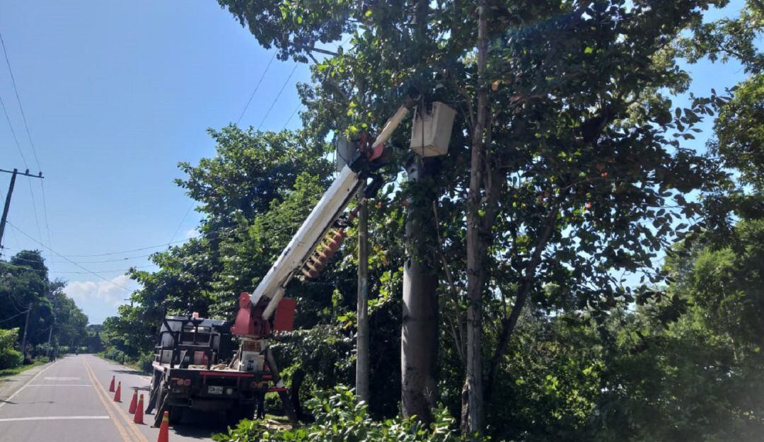 Mantenimientos en redes eléctricas de El Salado