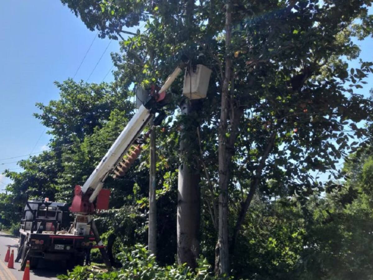 Afinia adelanta trabajos en redes eléctricas de El Salado